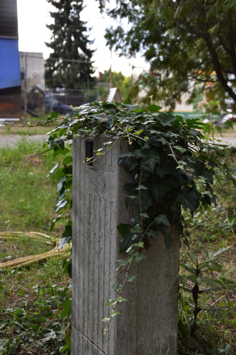DSC_0015